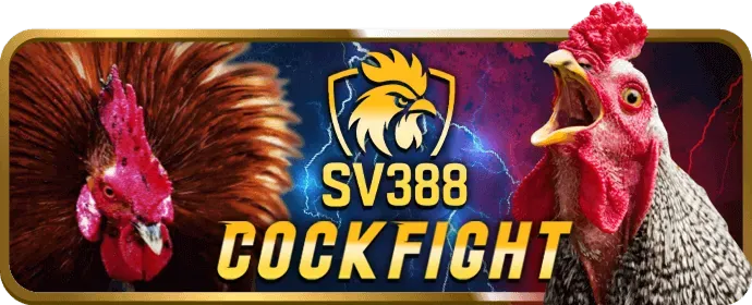 Chương trình VIP 77vin Casino